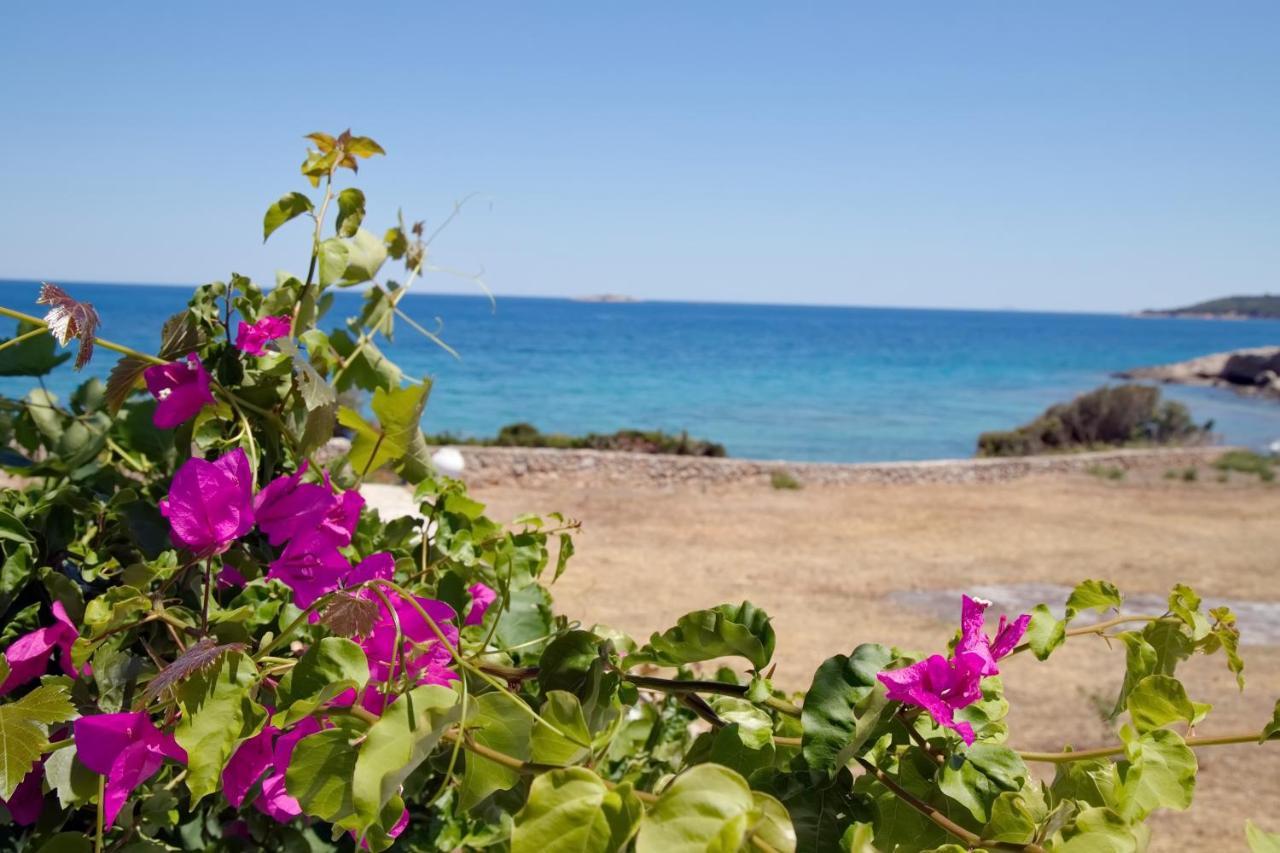 Aroura Homes 4Br Beachfront Villa Spétses Eksteriør billede
